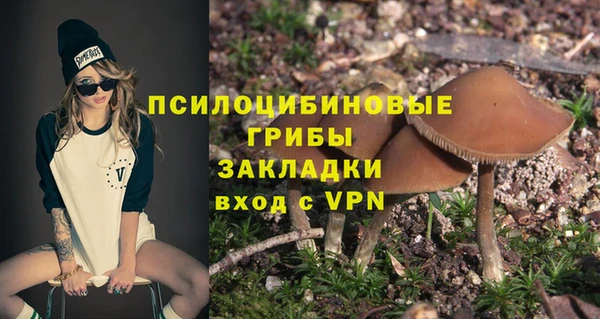спиды Алзамай