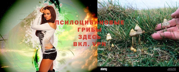 спиды Алзамай