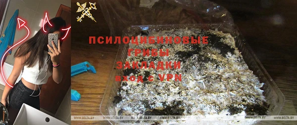 спиды Алзамай